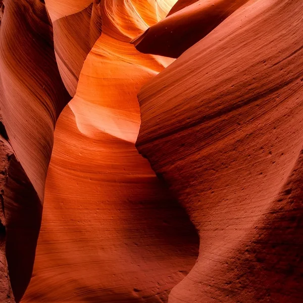 问鼎娱乐老虎机游戏