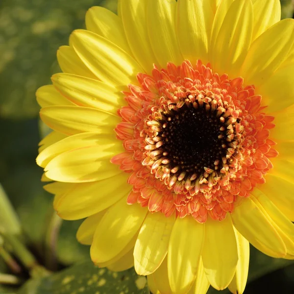 问鼎娱乐百家乐游戏